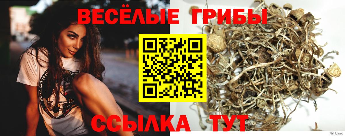 Каменск-Уральский  Галлюциногенные грибы прущие грибы  Вход с VPN 